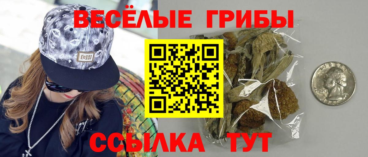 где купить наркоту  Псилоцибиновые грибы MAGIC MUSHROOMS  Вход с VPN  Кировск 